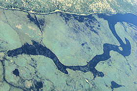 Okavango Delta from the Air