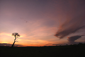 Sunset over the Mara, Kenya
